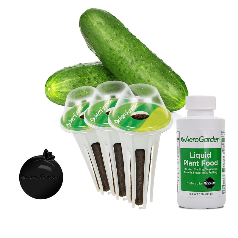 Cucumber Seed Pod Kit image number null